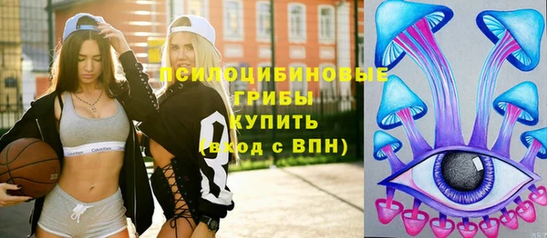 метадон Богородицк